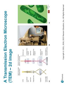 Probe microscopy images