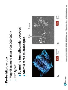 Comparison of phase contrast and differential interference contrast microscopes