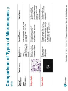 Comparison of fluorescence and confocal microscopes