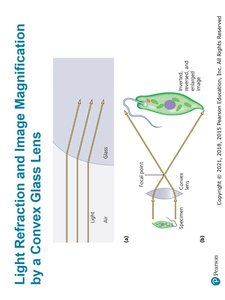 Light refraction and image magnification by a convex glass lens