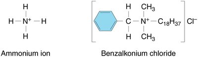Structures of ammonium ion and benzalkonium chloride