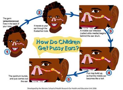 Diagram: How do children get pussy ears?