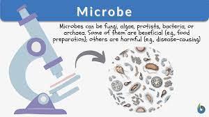 Microbes shaping the planet's ecosystems