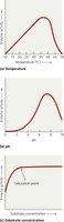 Representative Effects of Temperature, pH, and Substrate Concentration on Enzyme Activity