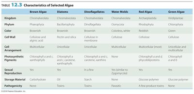 Table of selected algae characteristics