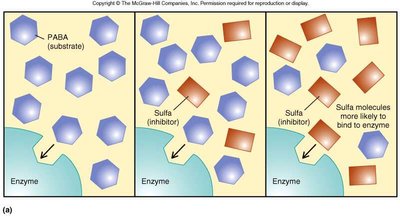 Sulfa drugs as competitive inhibitors