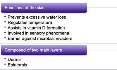 Functions and layers of the skin