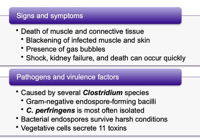Stages of poxviral skin lesions
