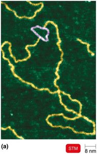 Scanning tunneling microscopy image