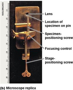 Replica of Leeuwenhoek's microscope