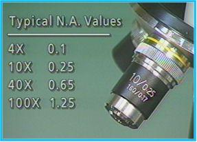 Typical numerical aperture values for objective lenses