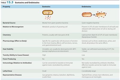 Table comparing exotoxins and endotoxins