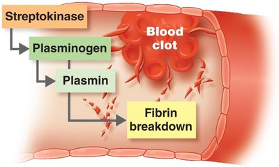 Streptokinase mechanism breaking down blood clots