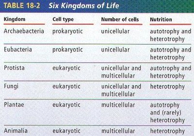 Six Kingdoms of Life table