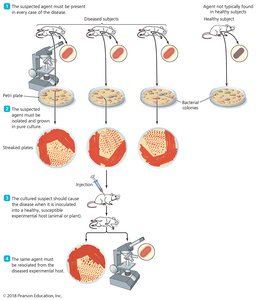 Koch's postulates diagram