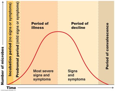 Stages of infectious disease