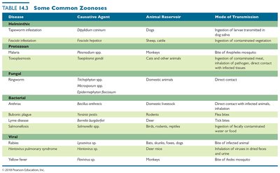 Table of common zoonoses
