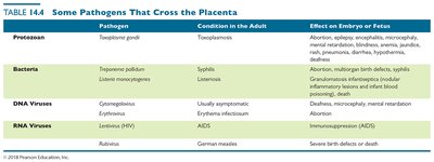 Table of pathogens that cross the placenta