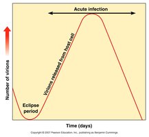 Viral one-step growth curve