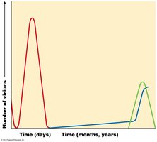 Latent and persistent viral infections