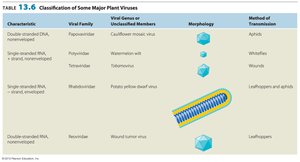 Classification of some major plant viruses