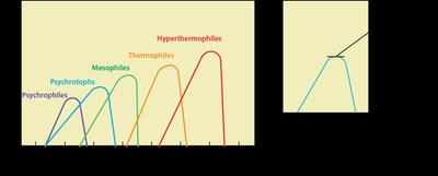 Temperature categories for microbial growth: psychrophiles, mesophiles, thermophiles, hyperthermophiles