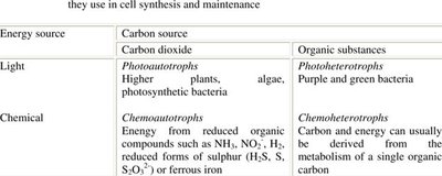 Table of nutritional types: photoautotrophs, photoheterotrophs, chemoautotrophs, chemoheterotrophs