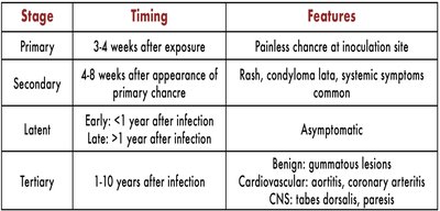 Table: Stages, timing, and features of syphilis