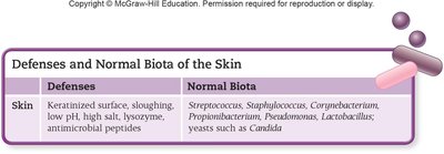 Table of skin defenses and normal biota