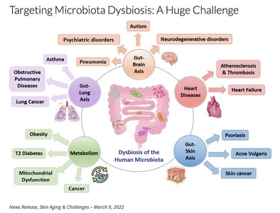 Diseases associated with dysbiosis