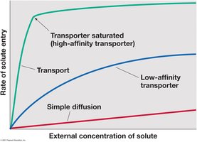 Transport rate vs. solute concentration graph