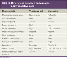 Differences between endospores and vegetative cells