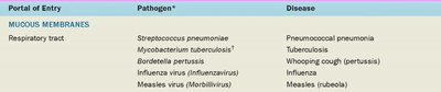 Table of portals of entry, pathogens, and diseases