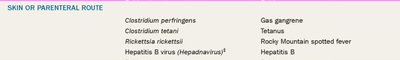 Table of skin or parenteral route pathogens and diseases