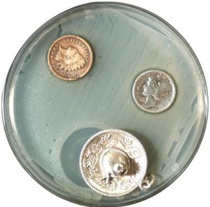 Oligodynamic action of heavy metals on microbial growth