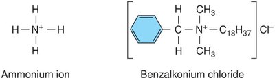 Structures of ammonium ion and benzalkonium chloride (a quat)