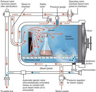 Diagram of an autoclave showing steam flow and pressure regulation