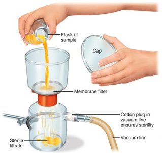 Filter sterilization setup with membrane filter and vacuum line