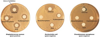 Disk-diffusion method showing zones of inhibition for different disinfectants