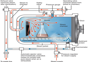 Autoclave diagram