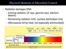 Radiation spectrum and effects