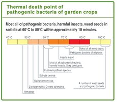 Thermal death point of pathogenic bacteria