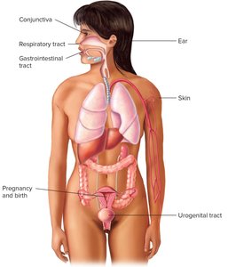 Diagram showing anatomical portals of entry