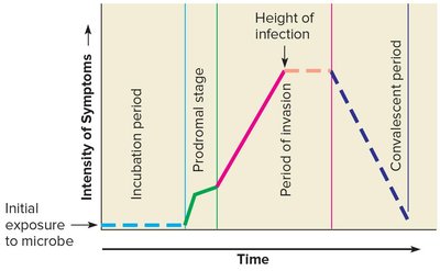 Graph showing stages of infection and symptom intensity