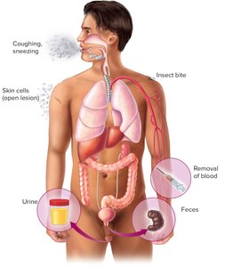 Diagram showing portals of exit: respiratory, skin, fecal, urogenital, blood