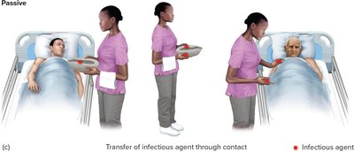 Diagram showing types of carriers: incubation, convalescent, chronic