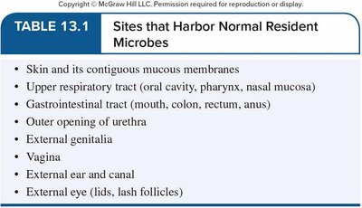 Table listing sites that harbor normal resident microbes