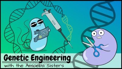 Genomic library construction