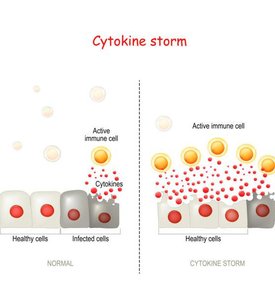 Diagram of cytokine storm, showing excessive immune cell activation