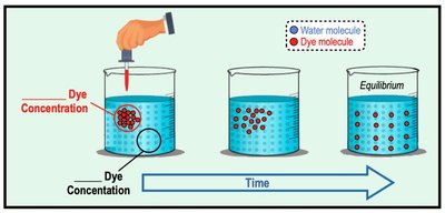 Concentration gradient diagram